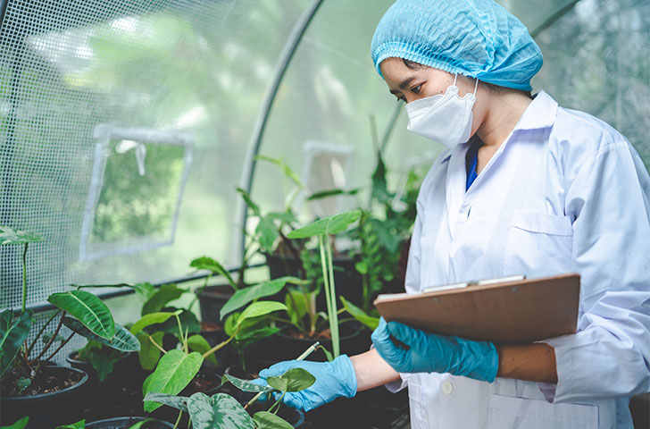 biology-scientist-working-to-research-a-growth-pla-2021-09-03-21-12-52-utc.jpg Woman working in a greenhouse lab